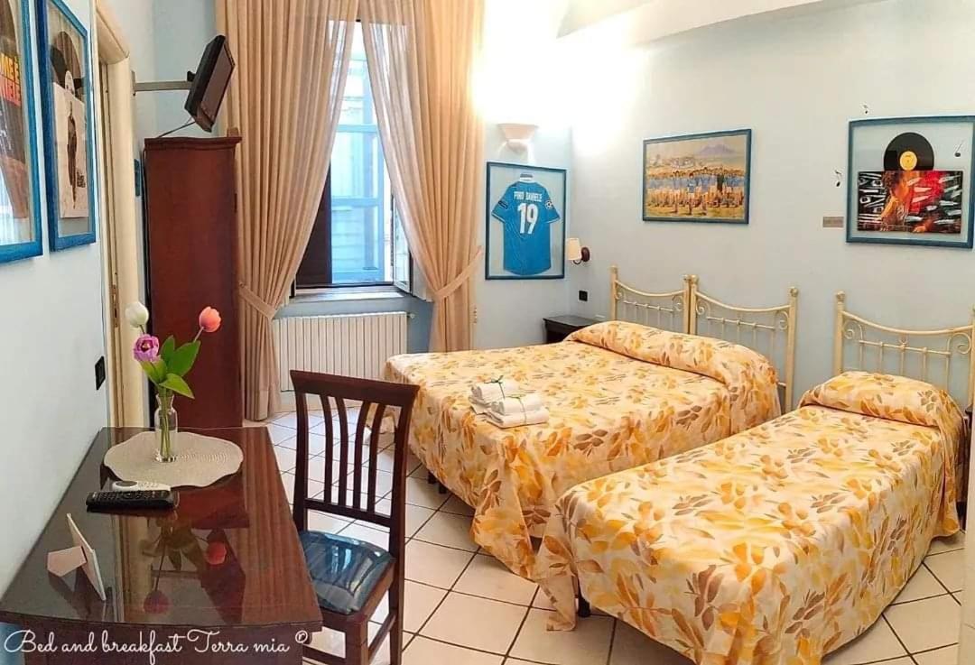 Terra Mia Bed & Breakfast Naples